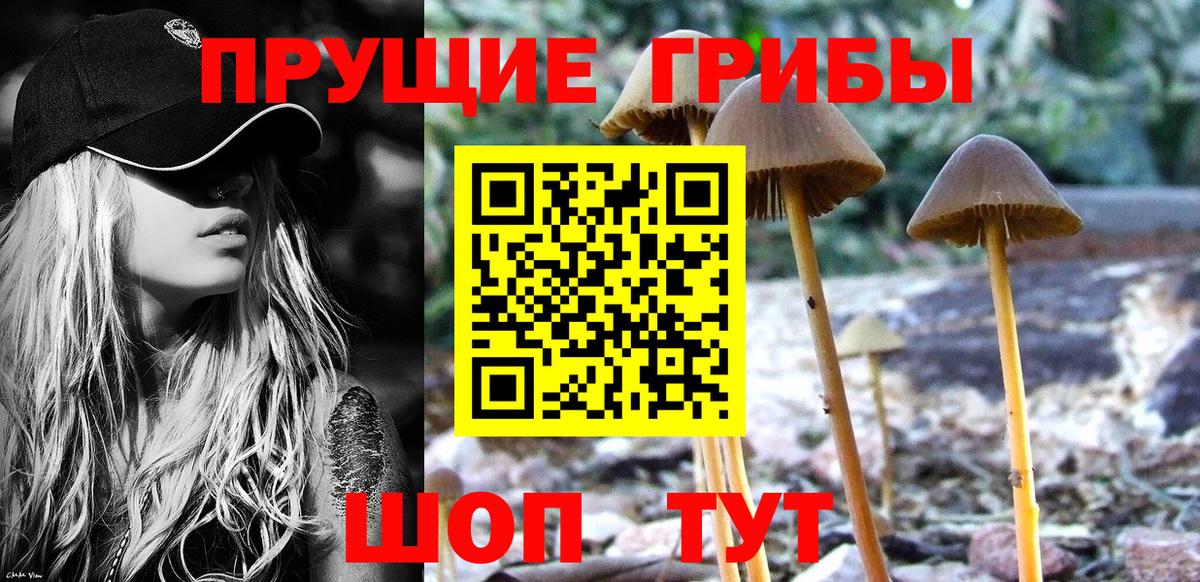 Галлюциногенные грибы ЛСД Жигулёвск
