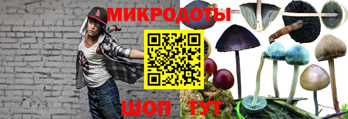 Псилоцибиновые грибы Psilocybine cubensis  даркнет сайт  Жигулёвск  Вход с VPN 